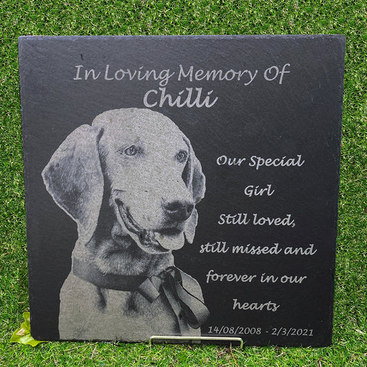 Memorial Photo Plaques Personalised for any Pet. Inside, outdoor and gardening. LARGE SIZES